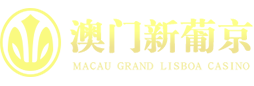 澳门新葡京