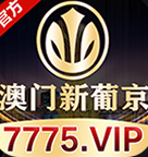 澳门新葡京